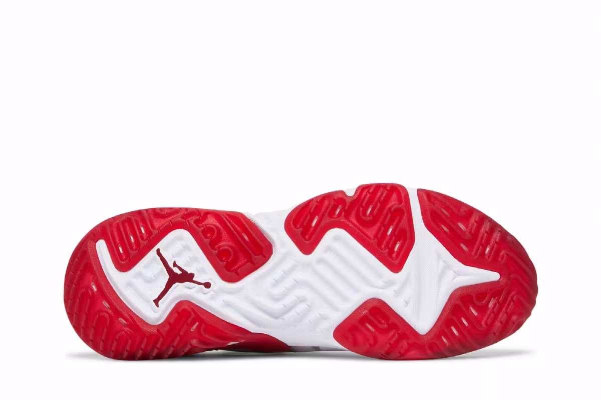 Air Jordan Delta Breathe Chicago, view 5
