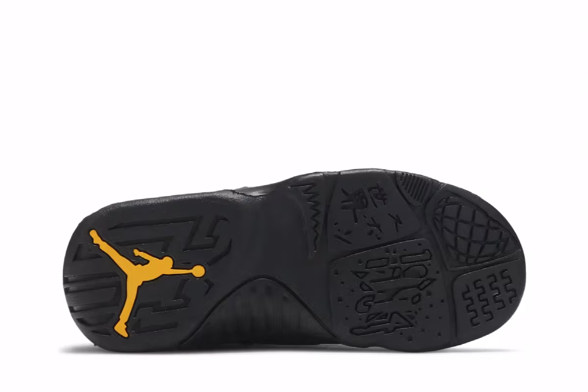 Air Jordan 9 PS Dark Charcoal University Gold, view 5