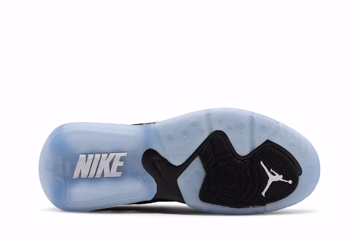 Air Jordan Point Lane Black Ice, view 5