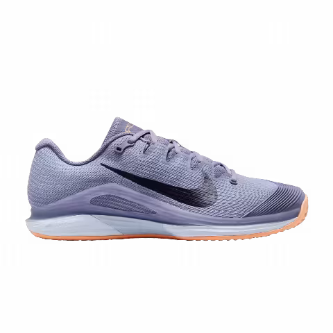 NikeCourt Air Zoom Vapor 12 Clay 'Ashen Slate Obsidian'