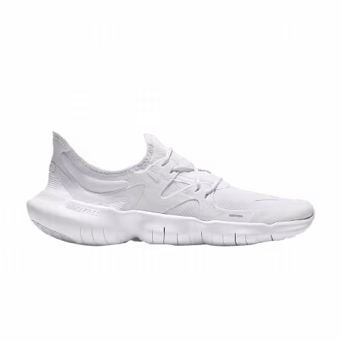 Nike Free RN 5.0 'Platinum Tint'