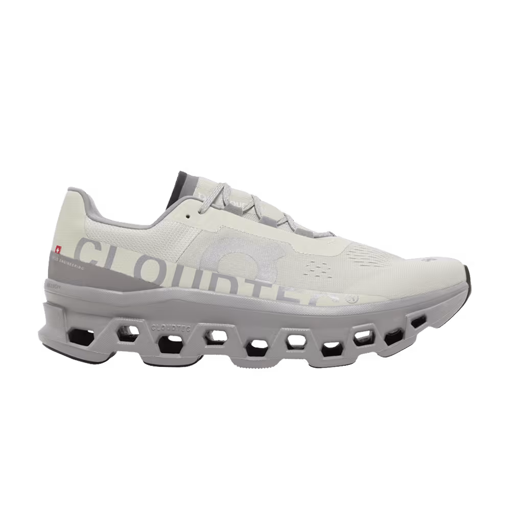 Cloudmonster Ice Alloy