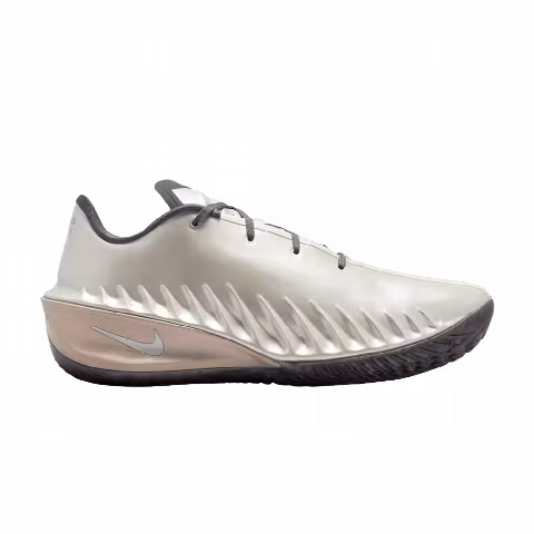 Rob Dillingham x Nike G.T. Cut 4 EP 'Metallic Silver'
