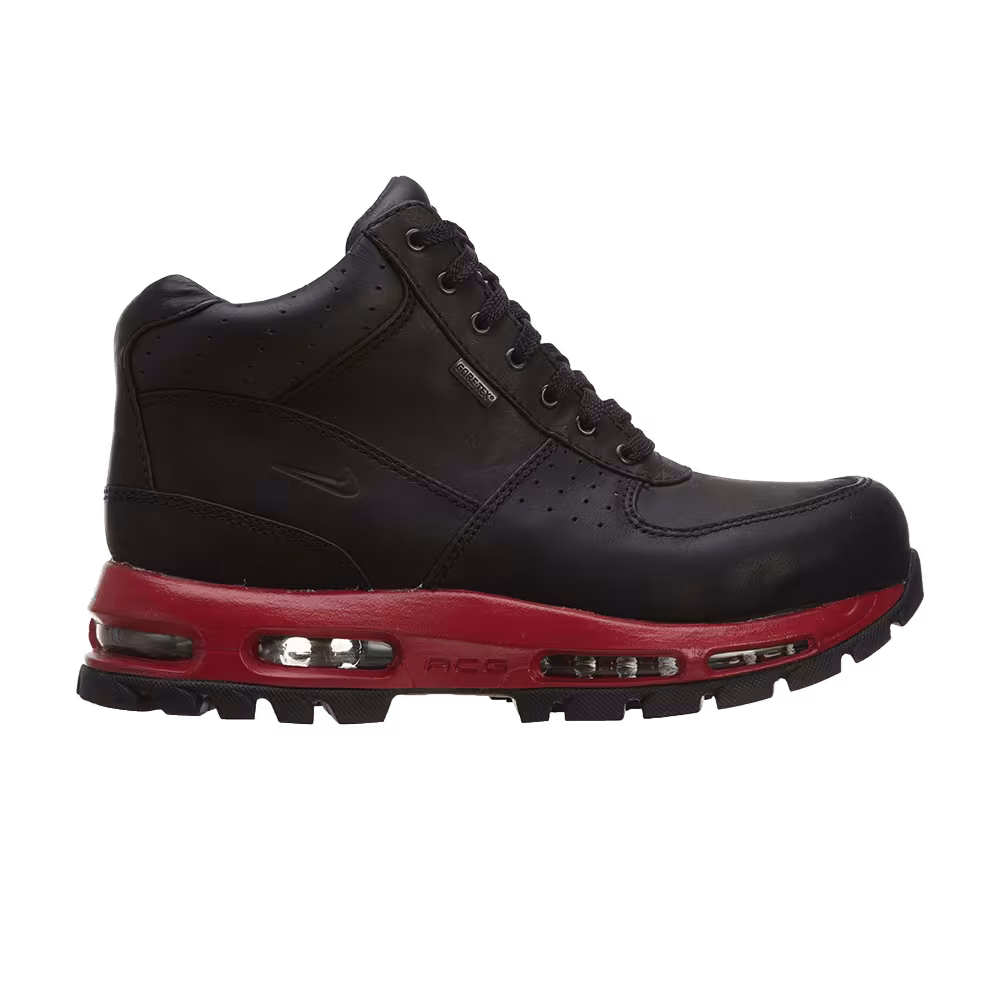 Nike Air Max Goadome GTX Black
