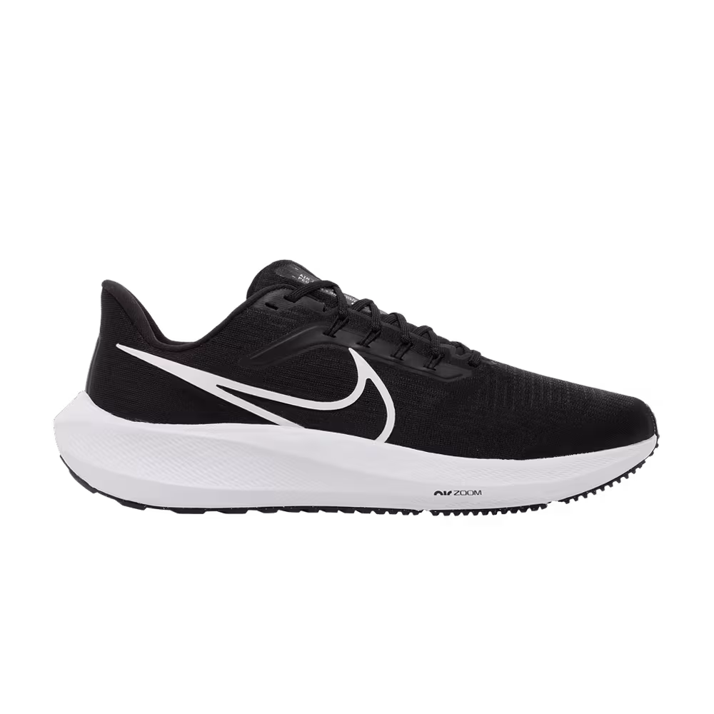 Nike Air Zoom Pegasus 39 TB Black Dark Smoke Grey