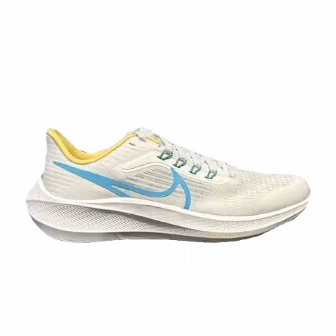 Nike Air Zoom Pegasus 39 GS 'White Baltic Blue White'