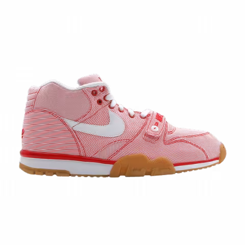 Nike Air Trainer 1 Premium Qk