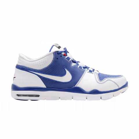 Nike Trainer 1
