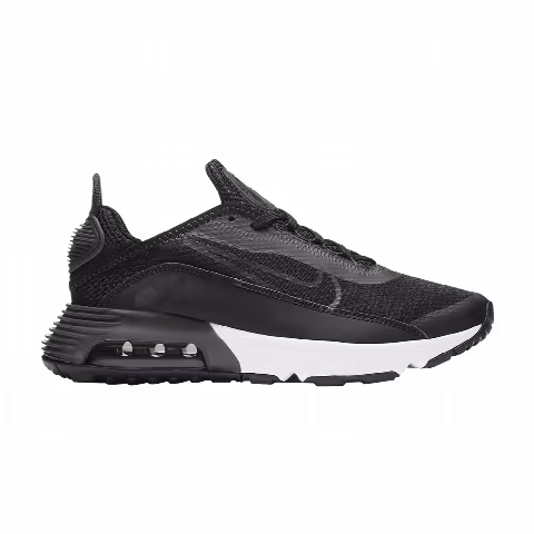 Nike Air Max 2090 'Black Wolf Grey'