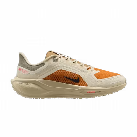 Nike Pegasus 41 GORE-TEX 'Running Poets'