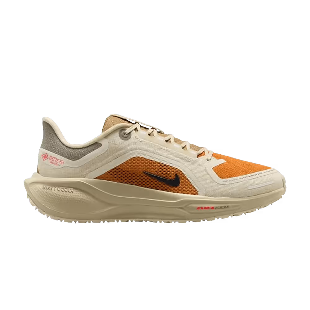 Nike Pegasus 41 GORE-TEX Running Poets