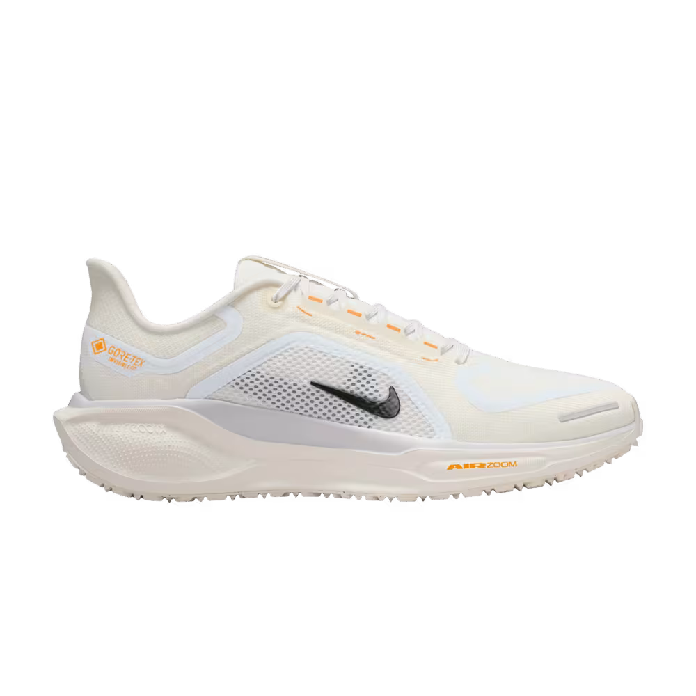 Nike Women's Air Zoom Pegasus 41 GTX Sail Ashen Slate Football Orey