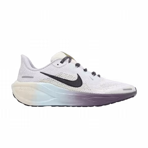 Nike Air Zoom Pegasus 41 GS 'White Dark Raisin Multi Color'