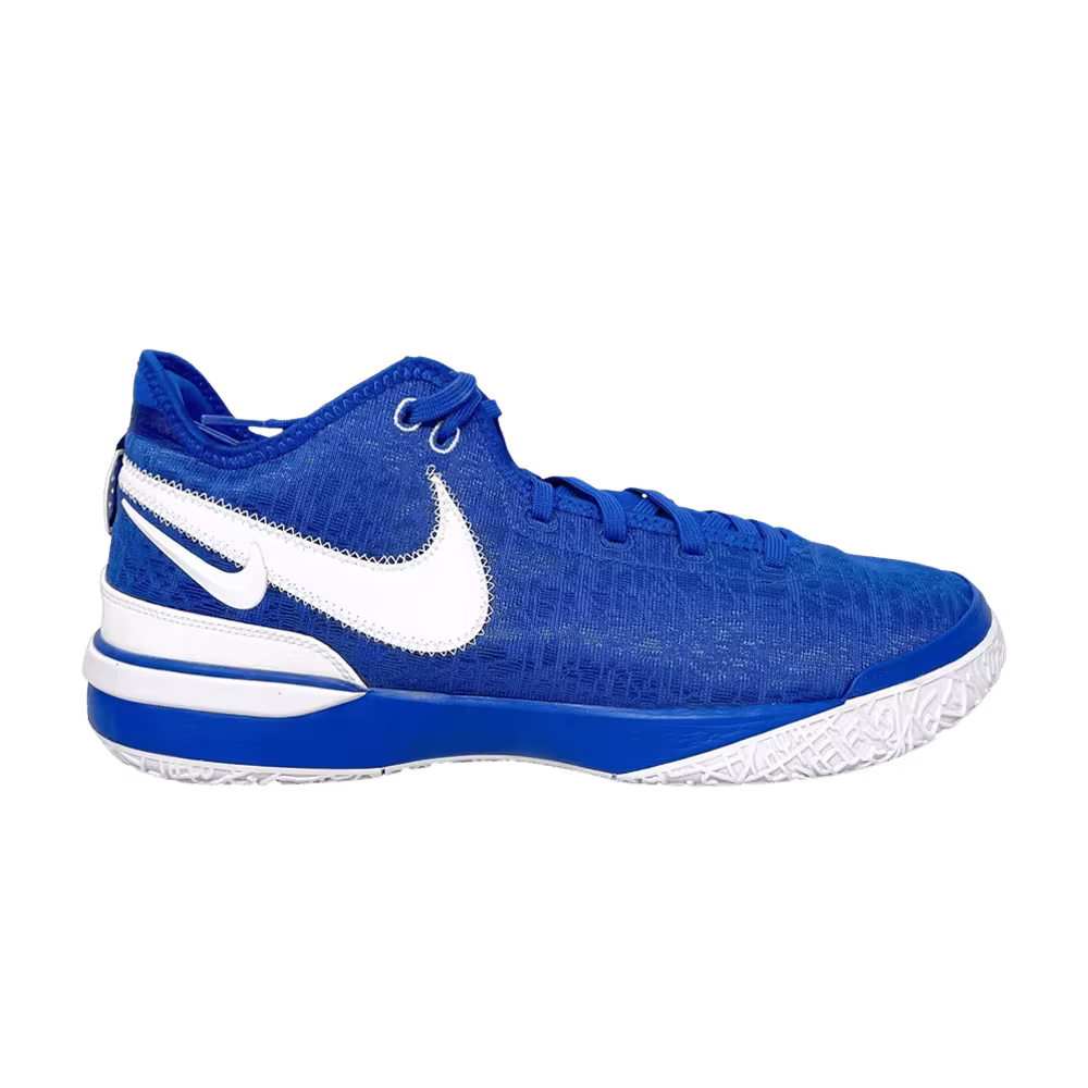 Nike Zoom LeBron NXXT Gen TB Promo Game Royal