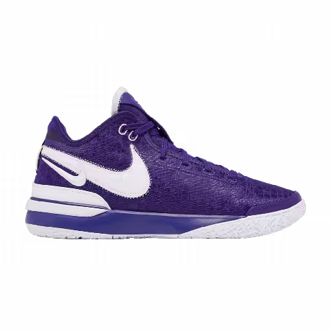 Nike Zoom LeBron NXXT Gen TB Promo 'Team Purple'