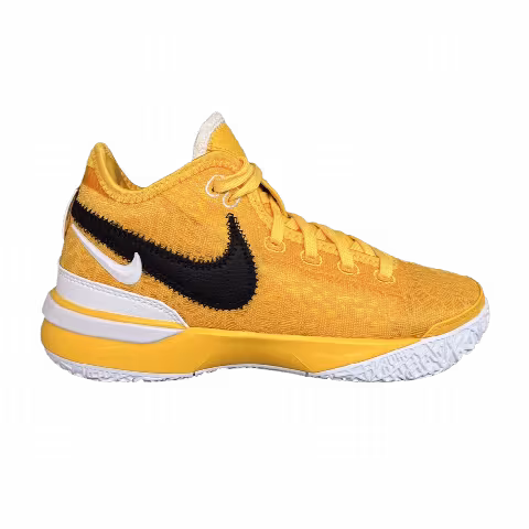 Nike Zoom LeBron NXXT Gen TB Promo 'University Gold'