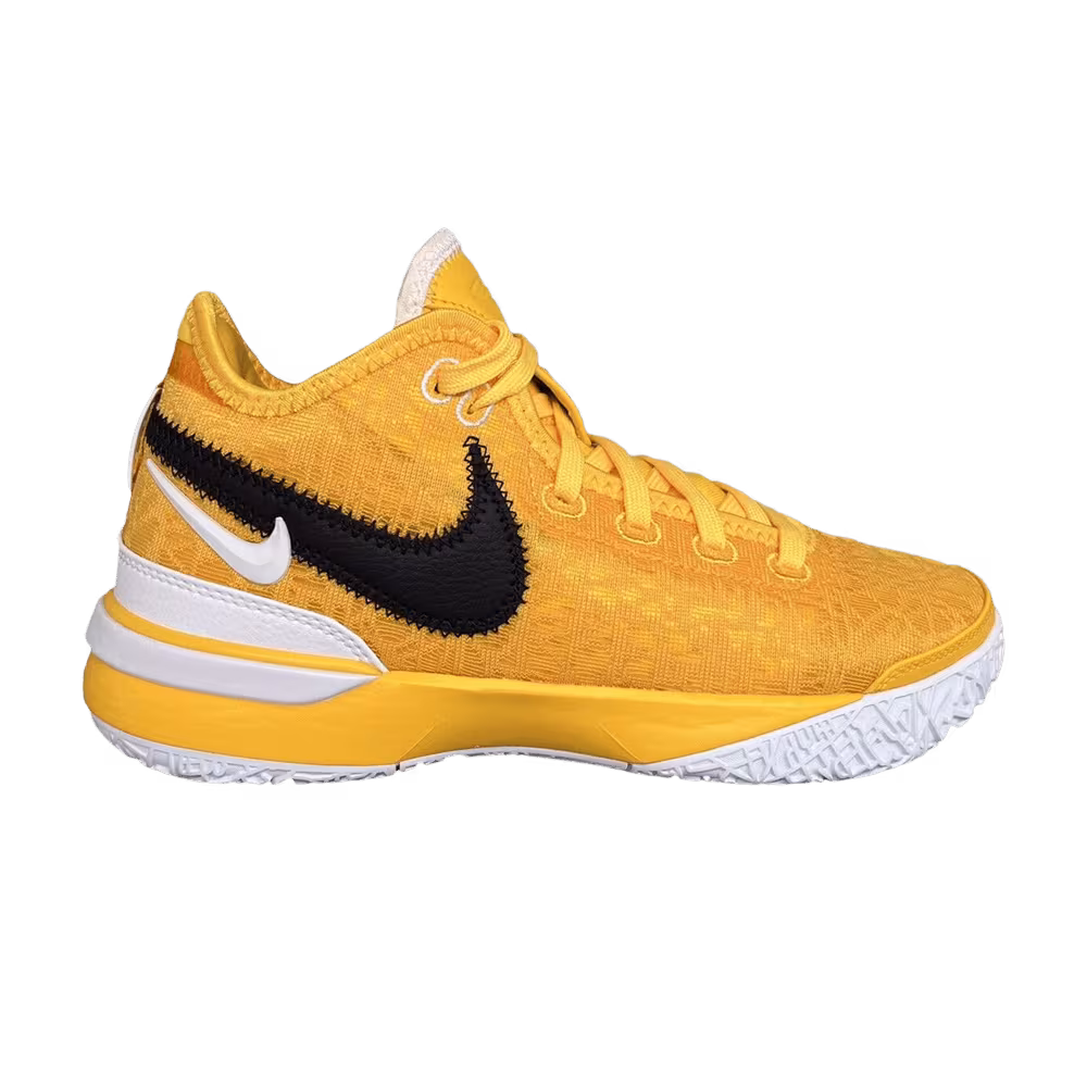 Nike Zoom LeBron NXXT Gen TB Promo University Gold