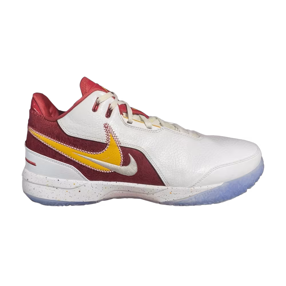 Nike Zoom LeBron NXXT Gen AMPD USC Home