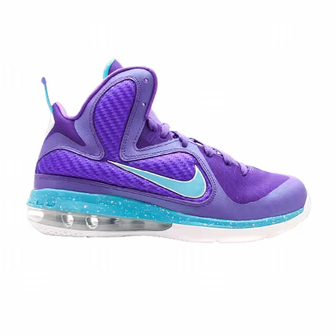 Nike LeBron 9 GS 'Summit Lake Hornets'