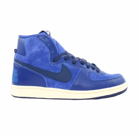 Nike Terminator Hi