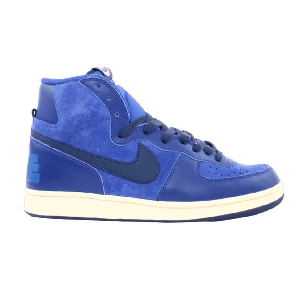 Nike Terminator Hi