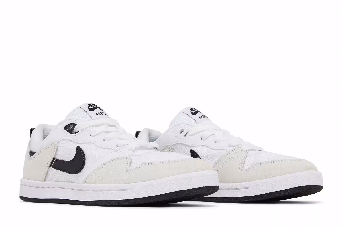 Nike Alleyoop SB GS White Black, view 9