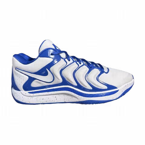 Nike KD 17 'Kentucky Home' PE