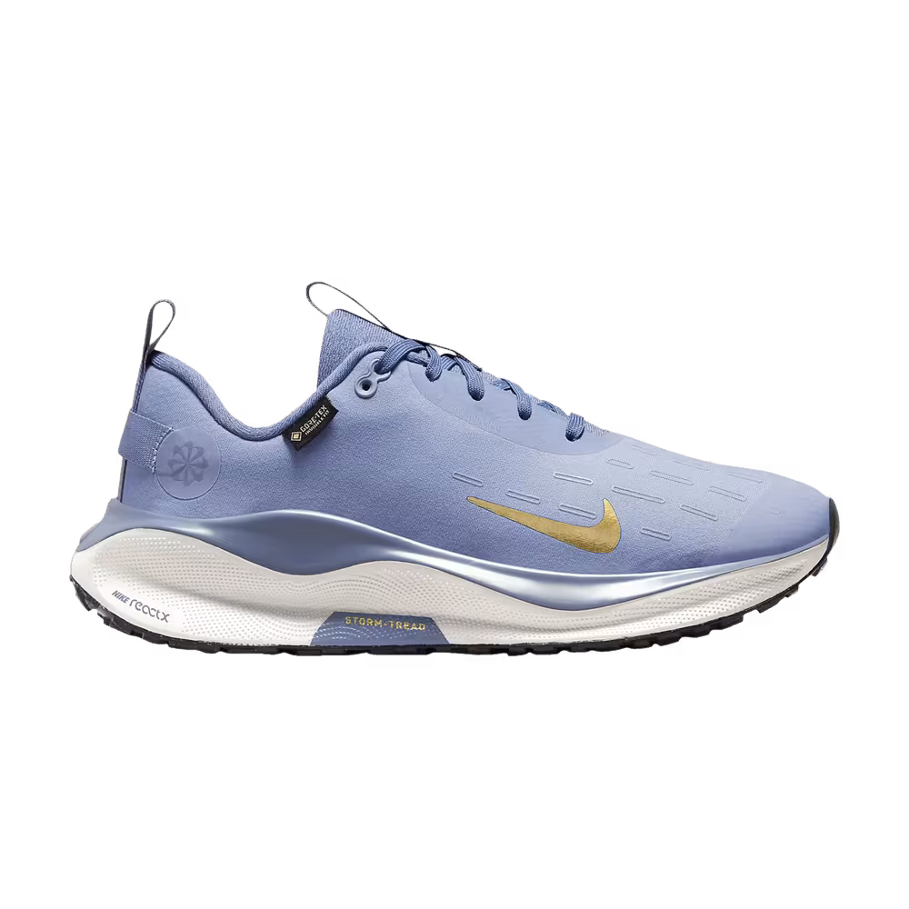 Nike Women's ReactX Infinity Run 4 GORE-TEX Ashen Slate Metallic Gold
