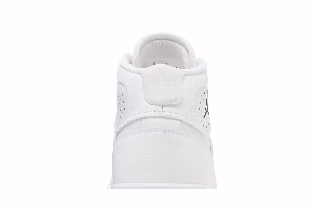 Air Jordan Access White, view 8