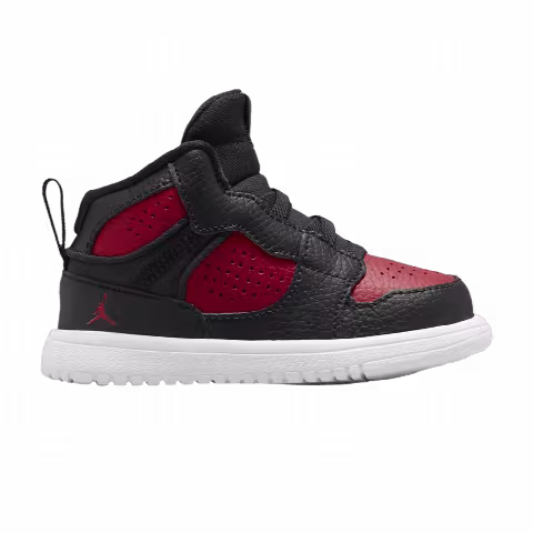 Air Jordan Access TD 'Bred'