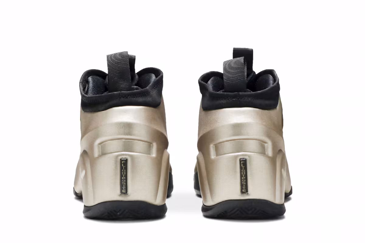 Nike Air Flightposite KG 2010, view 7