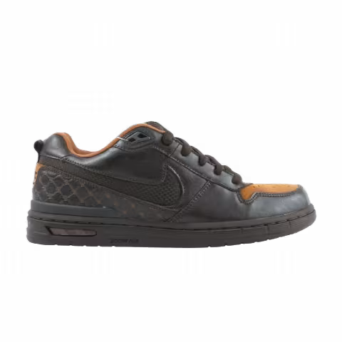 Nike Paul Rodriguez Zoom Air Low