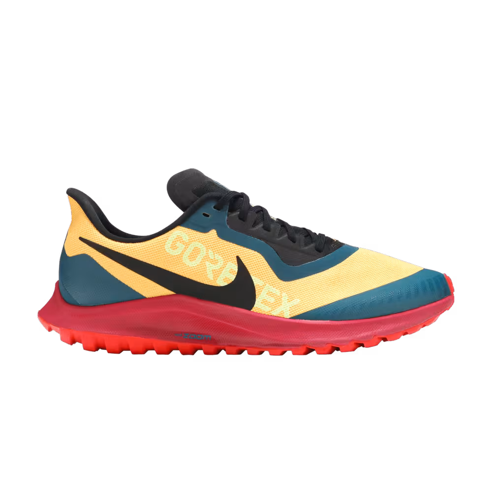 Nike Zoom Pegasus 36 Trail Gore-Tex