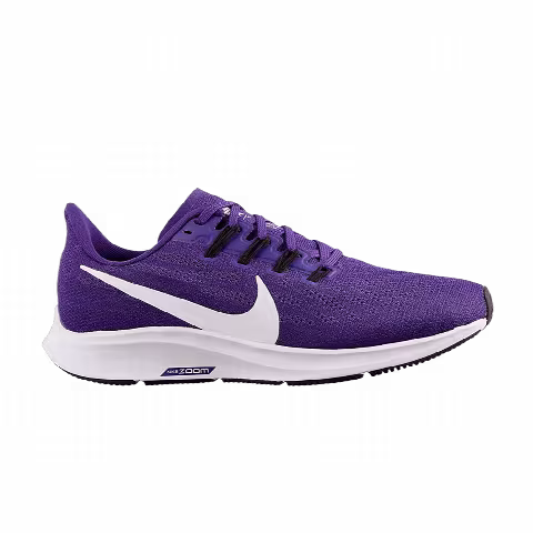 Nike Air Zoom Pegasus 36 TB 'Court Purple'