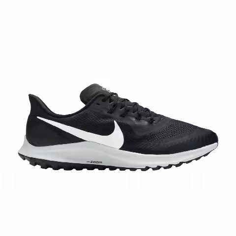 Nike Air Zoom Pegasus 36 Trail 'Oil Grey'