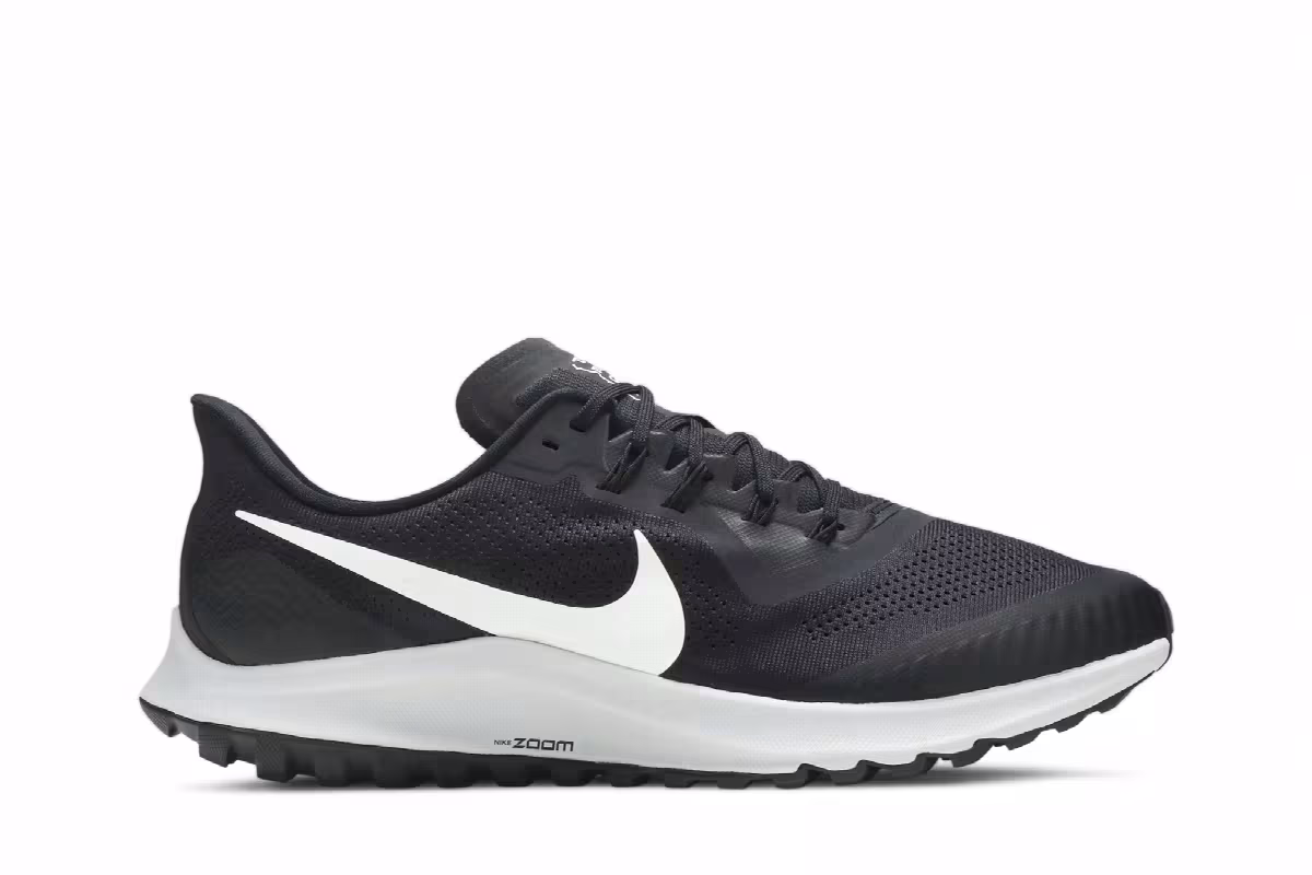 Nike Air Zoom Pegasus 36 Trail Oil Grey, view 2