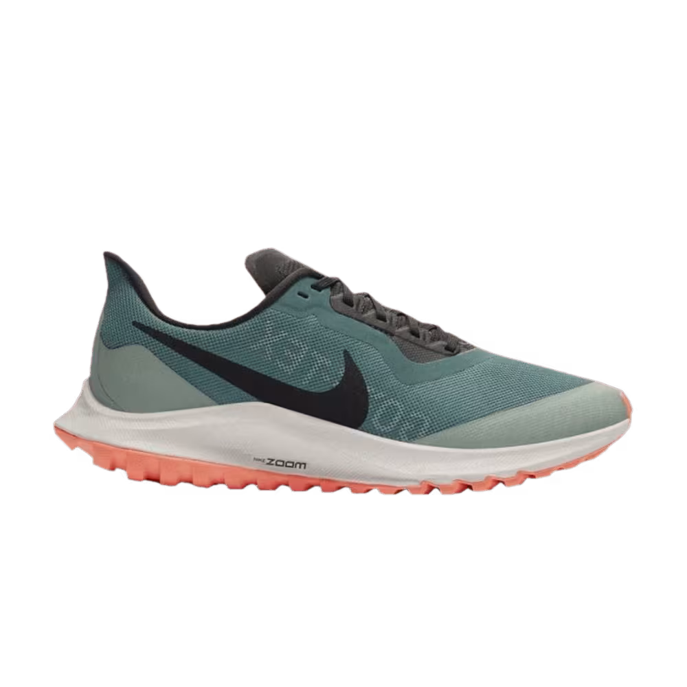 Nike Women's Air Zoom Pegasus 36 Trail GTX Bicoastal