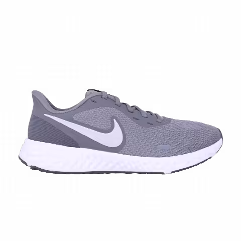 Nike Wmns Revolution 5 'Cool Grey'