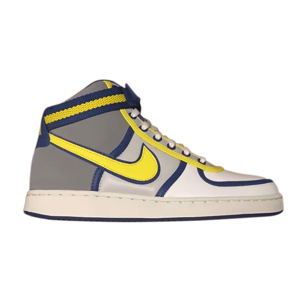 Nike Vandal Hi Leather