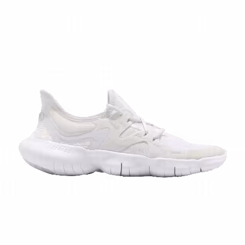 Nike Wmns Free RN 5.0 'Pure Platinum'