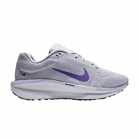 Nike Wmns Winflo 11 'Grey Purple'
