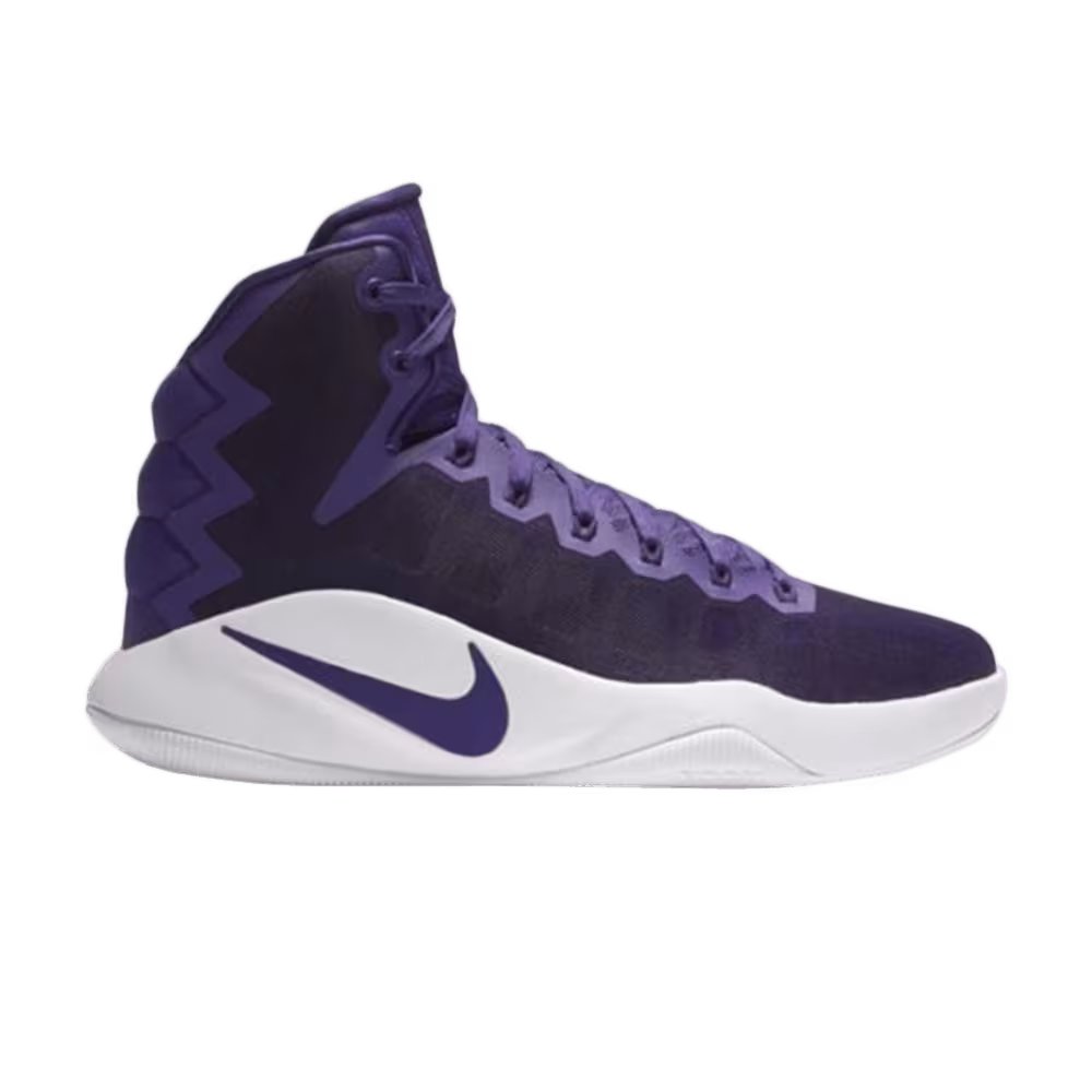 Nike Hyperdunk 2016 TB Purple