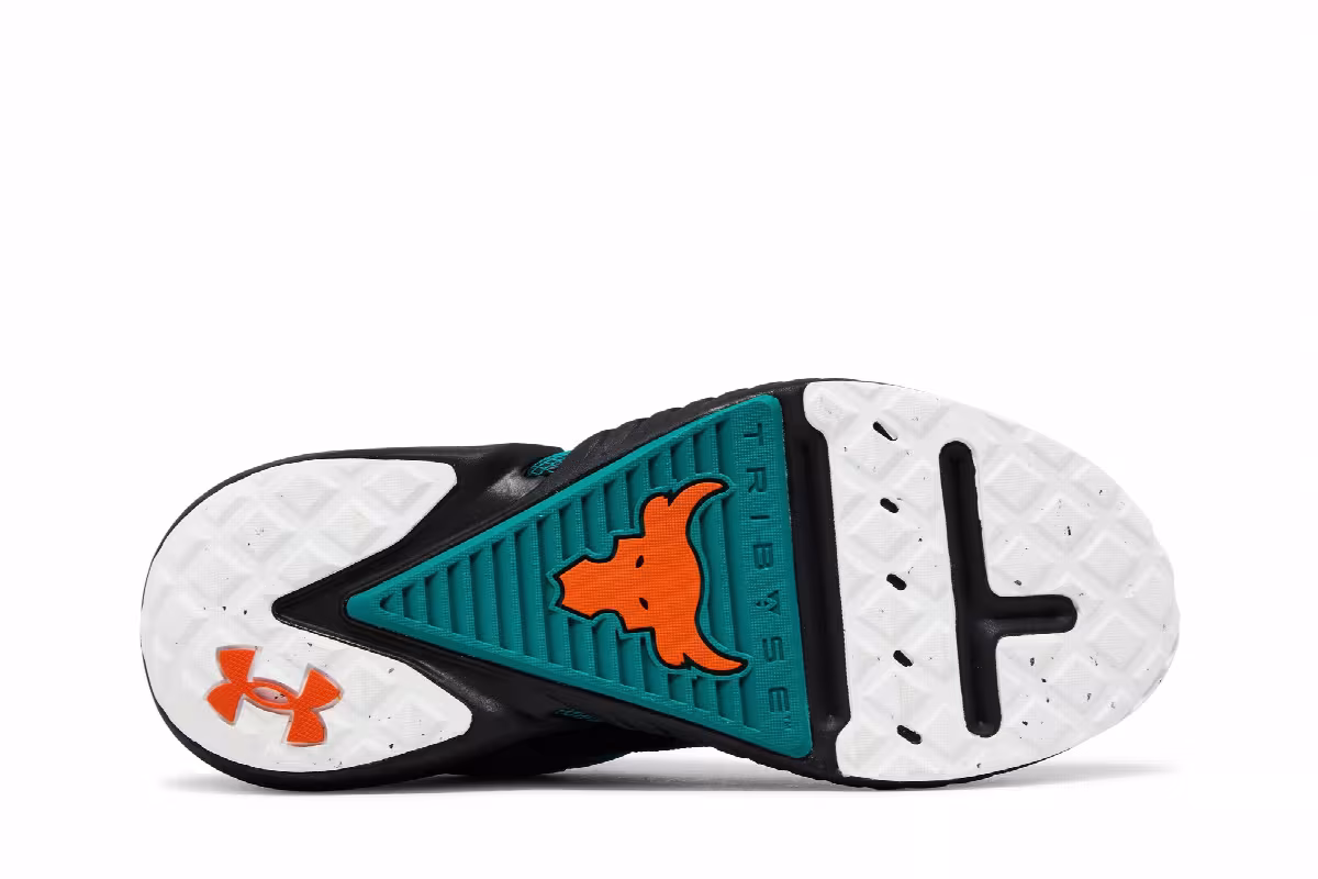Under Armour Project Rock 5 305, view 5