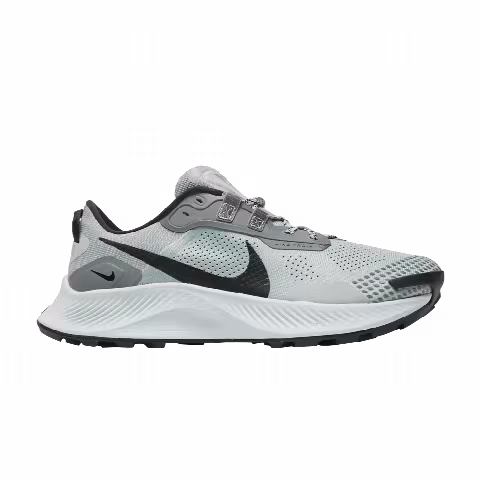 Nike Pegasus Trail 3 'Dusty Sage'