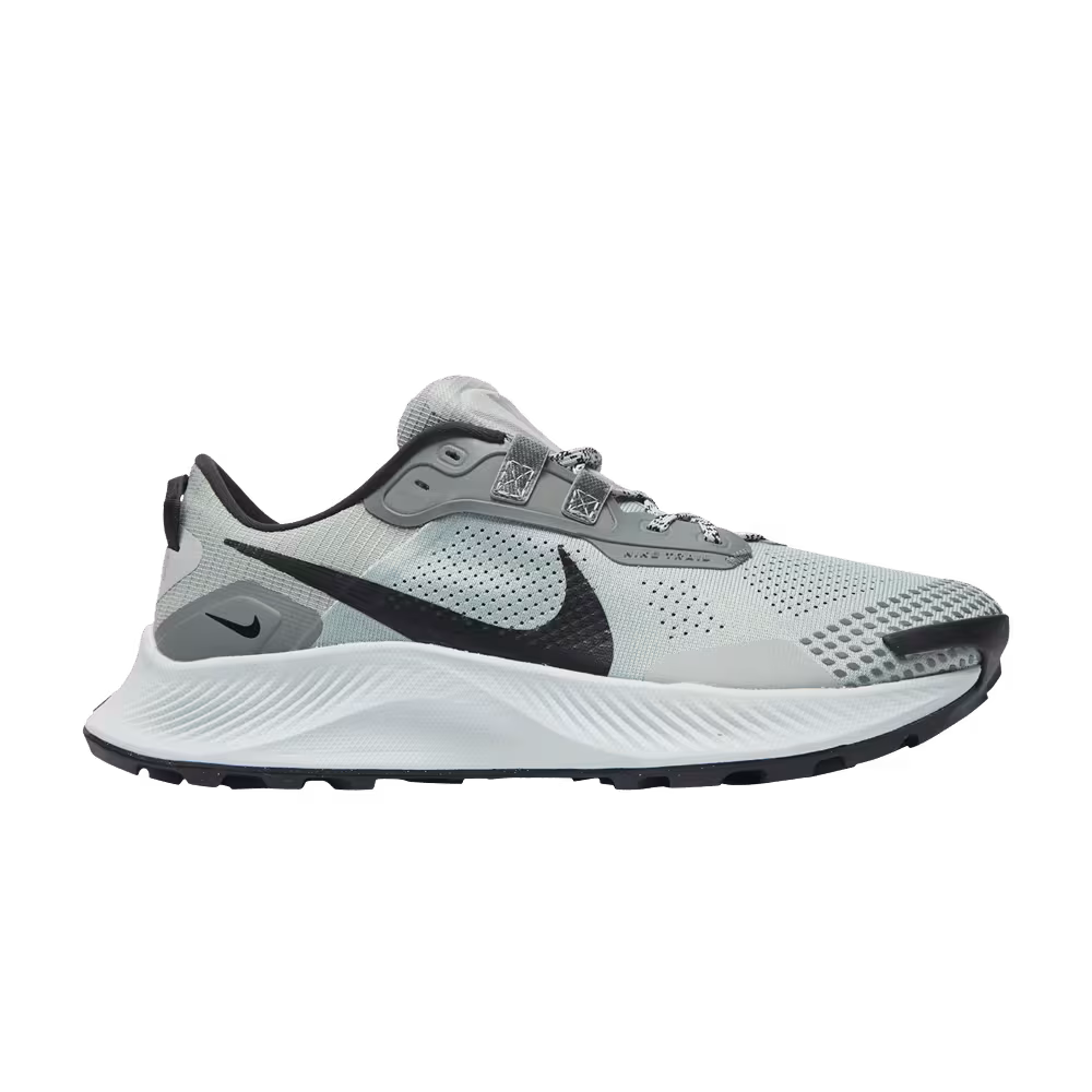 Nike Pegasus Trail 3 Dusty Sage