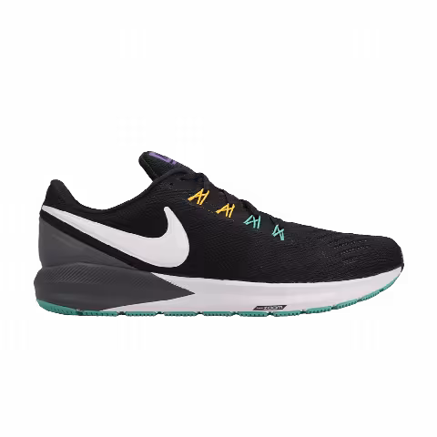 Nike Air Zoom Structure 22 'Dark Grey'