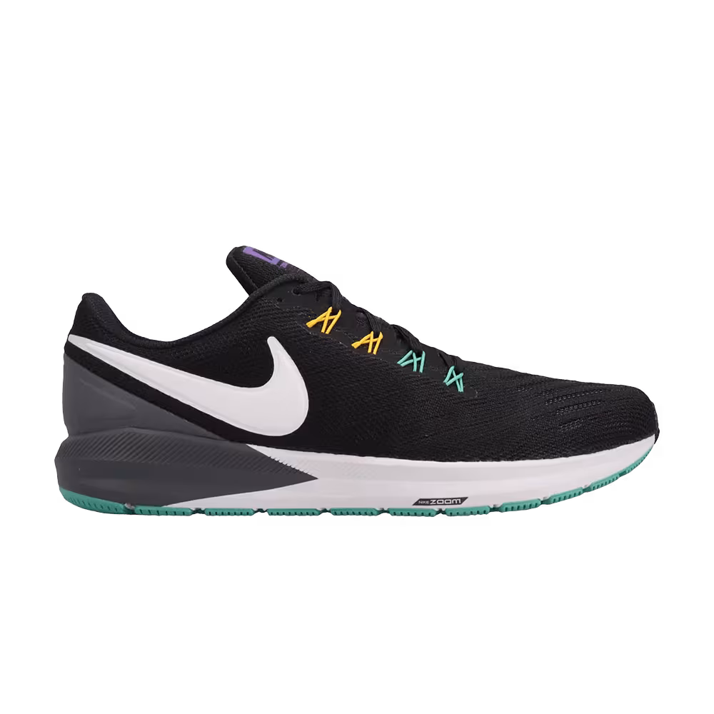 Nike Air Zoom Structure 22 Dark Grey