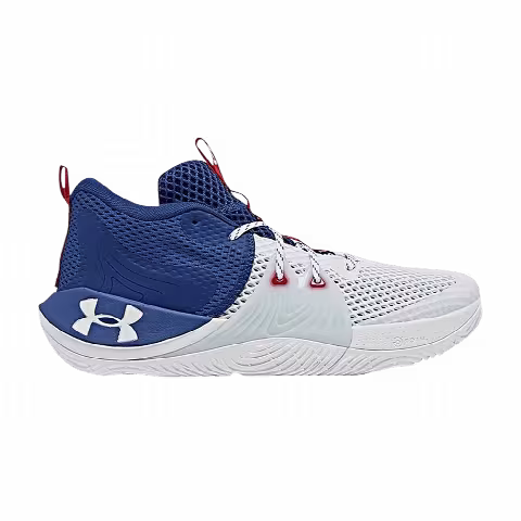 Under Armour Embiid One GS 'Brotherly Love'
