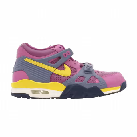 Nike Air Trainer 3 B 'Viotech'