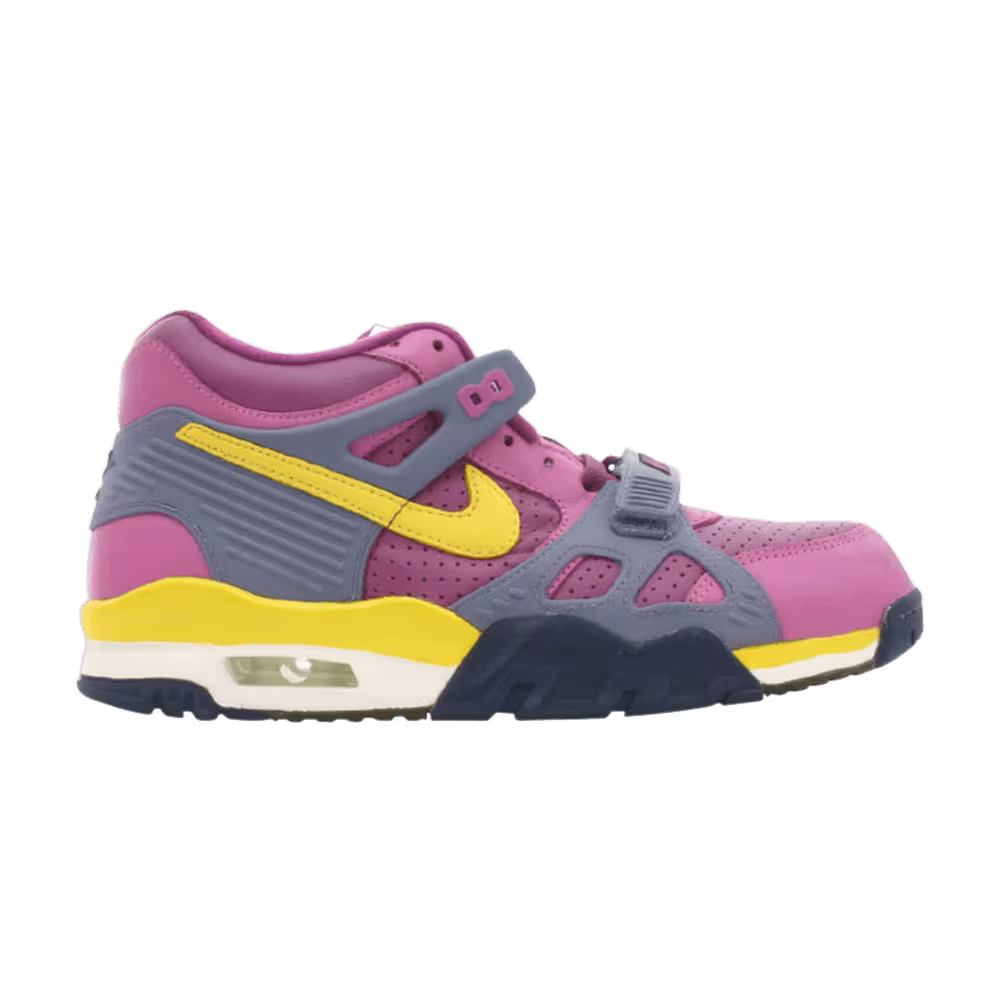 Nike Air Trainer 3 B Viotech